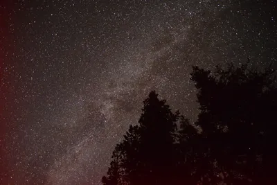 DSC_5984 (Large).JPG